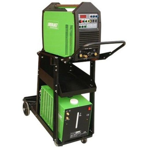 Everlast PowerCart 250 welding cart with dual tank capacity, heavy-duty frame, and storage tray for welders and accessories.